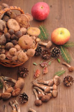 sonbahar natürmort tablo üzerinde mantar