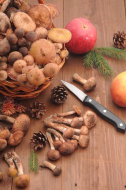 sonbahar natürmort tablo üzerinde mantar