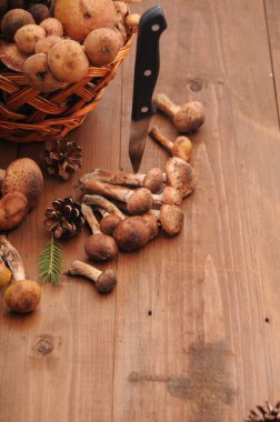 sonbahar natürmort tablo üzerinde mantar