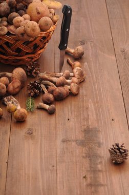 sonbahar natürmort tablo üzerinde mantar