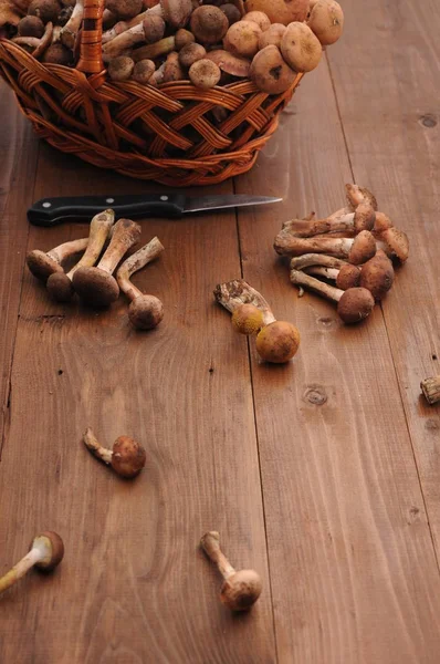 Funghi Foresta Nel Cesto Tavolo Legno — Foto Stock