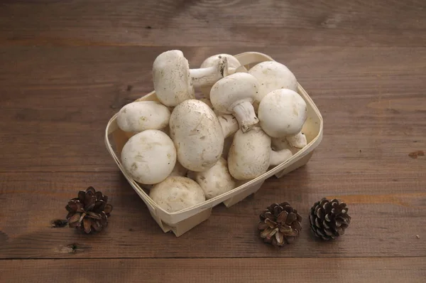 木桌上的蘑菇 — 图库照片
