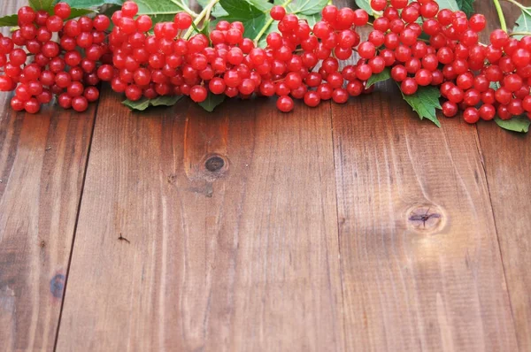 Viburnum rojo sobre una mesa de madera — Foto de Stock