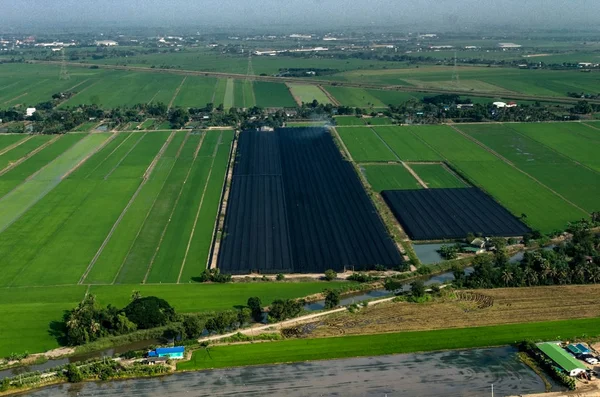 Tarım, tarım hava fotoğrafçılığı Tayland — Stok fotoğraf