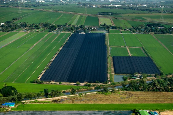 Agricultura, Agricultura Fotografía aérea en Tailandia — Foto de Stock