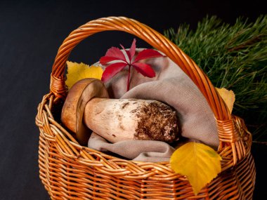 Büyük bir mantar bir sepet içinde