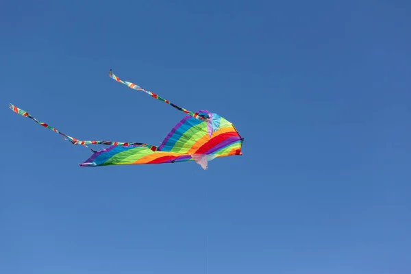 Vlieger vliegen in de lucht — Stockfoto