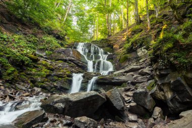 Ormana küçük şelale