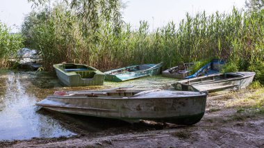 Bir kayık yarım uzunluk dışarı su kıyısında