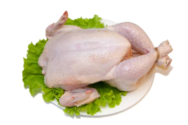 Whole raw chicken — Stock Photo, Image