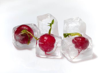 Yeşil yapraklı taze kırmızı turp. Beyaz arka planda buz küplerinde donmuş.