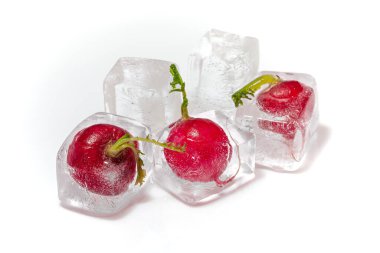 Yeşil yapraklı taze kırmızı turp. Beyaz arka planda buz küplerinde donmuş. Yakın plan.