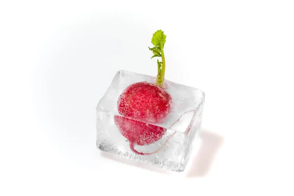 Concept Freezing Vegetables Fresh Red Radish Green Leaves Frozen Ice — Stock Photo, Image