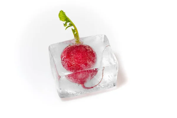 Concept Freezing Vegetables Fresh Red Radish Green Leaves Frozen Ice — Stock Photo, Image