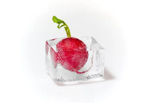 Fresh Red Radish Green Leaves Frozen Ice Cube White Background — Stock Photo, Image