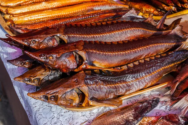 Rökt sterlets på fiskmarknaden Stockbild