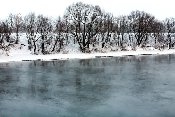 Téli folyó egy borús napon. — Stock Fotó