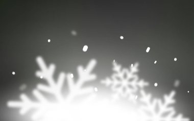 Güzel kar taneleri ile ışık gri vektör kapak.