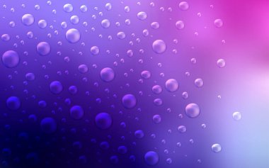 Açık Mor, benekli pembe vektör kapağı.