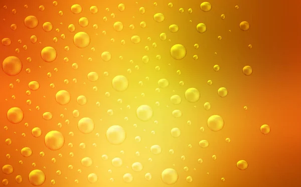 Light Orange vector cover with spots. — Stock Vector