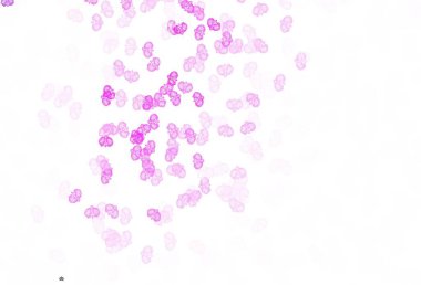 Açık pembe vektör, çiçekli zarif şablon. Çiçekli zarif, parlak bir illüstrasyon. İşiniz için yepyeni bir tasarım..