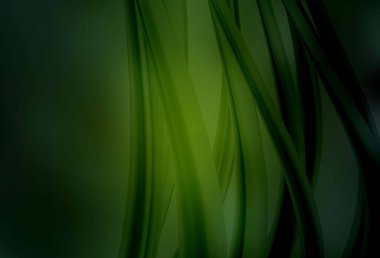 Koyu yeşil vektör parlak şablonu bulanıklaştırdı. Eğilimli zarif, parlak bir çizim. İşiniz için yepyeni bir tasarım..