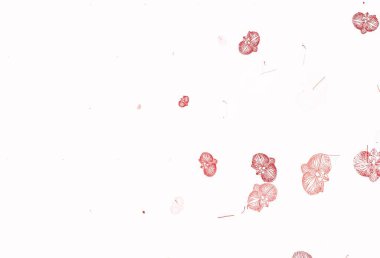 Açık yeşil, kırmızı vektör çiçekli karalama arkaplanı. Origami tarzında çiçeklerin karalama çizimi. İşiniz için yeni tasarım.