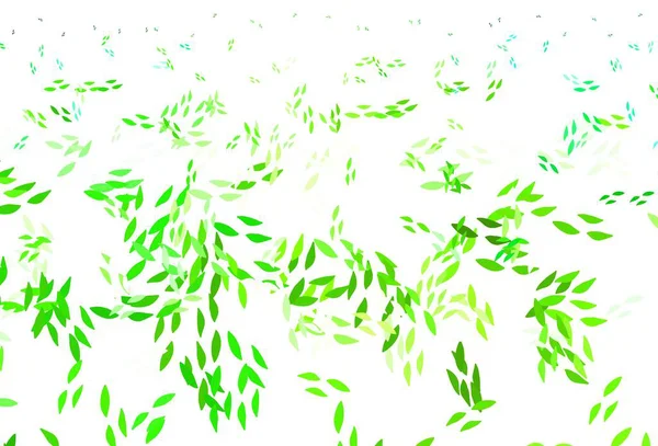 Modèle Doodle Vectoriel Vert Clair Avec Feuilles Illustration Abstraite Géométrique — Image vectorielle