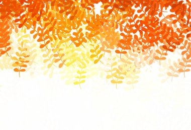 Hafif Turuncu vektör çizimi. Doğal yaprağı olan zarif, parlak bir illüstrasyon. İşiniz için en iyi tasarım..