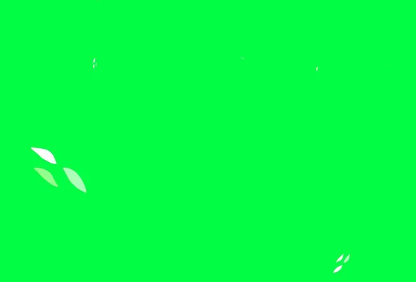 Светло Зеленый Красный Векторный Узор Листьями Совершенно Новая Цветная Иллюстрация — стоковый вектор