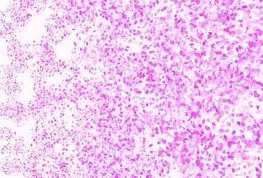 Soyut şekilli açık pembe vektör arkaplanı. Soyut tarzda rengarenk gradyan şekilleri olan bir resim. Duvar kağıtları için zarif tasarım.