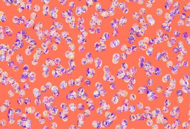 Açık pembe, daire şekilli sarı vektör düzeni. Soyut arka planda bulanık kabarcıklar ve renkli gradyan. Fütürist reklamlar ve kitapçıklar için şablon.