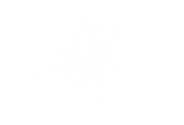 Світло Червоний Вектор Абстрактний Фон Квітами Барвисті Ілюстрації Квітами Каракулі — стоковий вектор