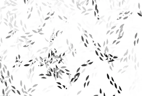 Hellgrau Vektor Elegantes Muster Mit Blättern Skizzenhafte Kritzeleien Mit Blättern — Stockvektor
