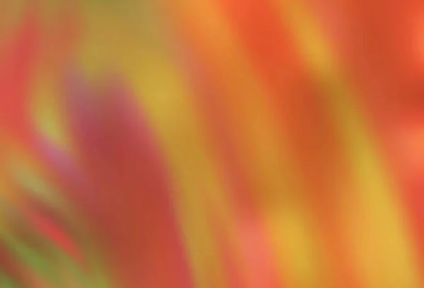 Light Orange Vector Blurred Shine Abstract Template Creative Illustration Halftone — Stock Vector
