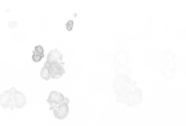 Ελαφρύ Γκρι Διάνυσμα Doodle Φόντο Λουλούδια Διακοσμητικό Σχέδιο Λουλουδιών Λευκό — Διανυσματικό Αρχείο