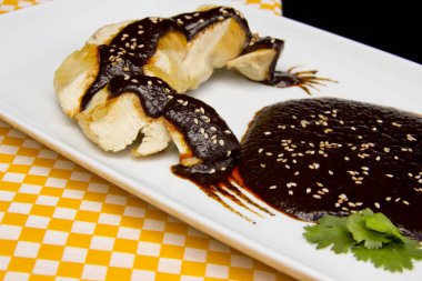 Tavuk göğsü ve köstebek sosu.