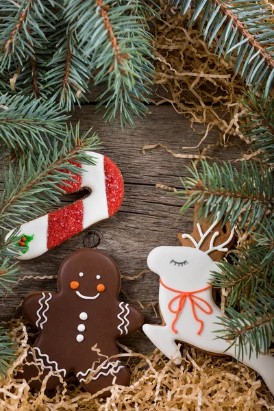 Christmas frame of pine branches. Decoration of painted ginger gingerbread. Gingerbread man, Christmas cane and snowman. Place under the text. Copy space.