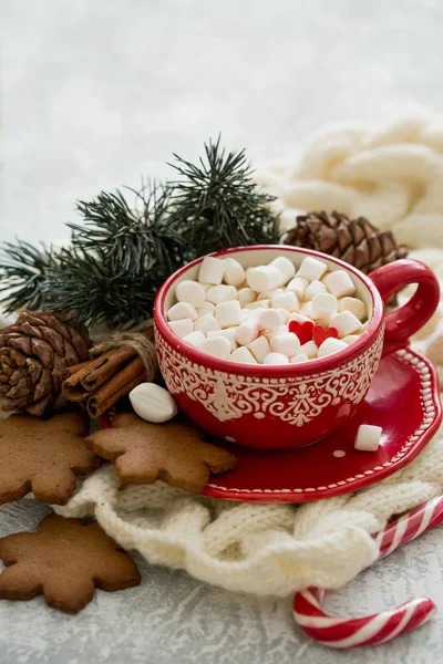 Warmth and comfort. Cocoa with marshmallows. My heart is filled with love — Stock Photo, Image