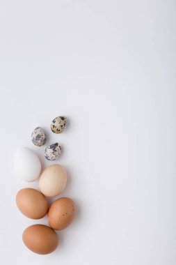 Tavuk yumurta, Bıldırcın yumurta. Paskalya. İzole beyaz arka plan.