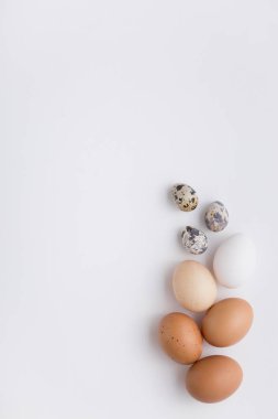 Tavuk yumurta, Bıldırcın yumurta. Paskalya. İzole beyaz arka plan.