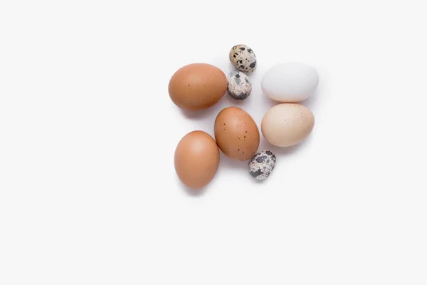 Куриное яйцо, перепелиное яйцо. Пасха. Изолированный белый фон . — стоковое фото