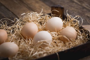 Taze saman üzerinde mezarda Köyü yumurta bırakırlar. Rustik tarzı. Lezzetli bir pasta, tarım ürünleri, diyet ve beslenme için malzemeler. Kopya alanı.