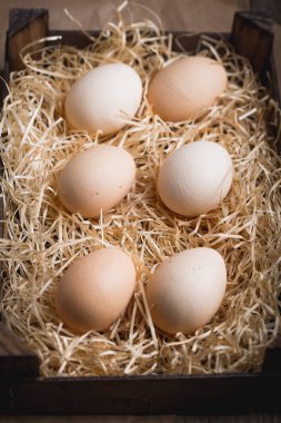 Taze saman üzerinde mezarda Köyü yumurta bırakırlar. Rustik tarzı. Lezzetli bir pasta, tarım ürünleri, diyet ve beslenme için malzemeler. Kopya alanı.