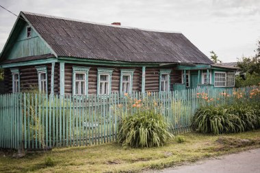 Leylak dalı. Bahar çiçekleri. Rusya'da bir köy. Heartland. Yoğun yerleşim. Taşra hayatı, keçi, inek, rutin Tarım Çiftlik avlusu,.