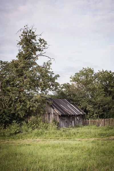 The village in the summer. Rural life. Happy time.