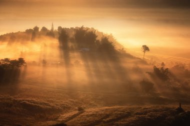 Misty morning sunrise landscape view clipart