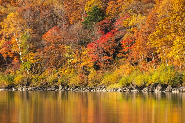 Красива осінь у Японії — стокове фото