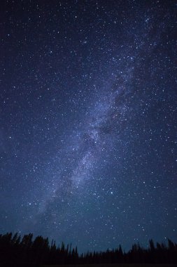 Mavi karanlık gece gökyüzünde yıldız alan ağaçların yukarıda.