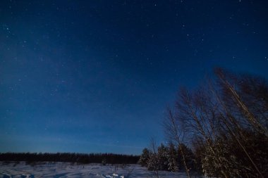 Yıldızlı gökyüzü altında woods ile kış gece manzarası